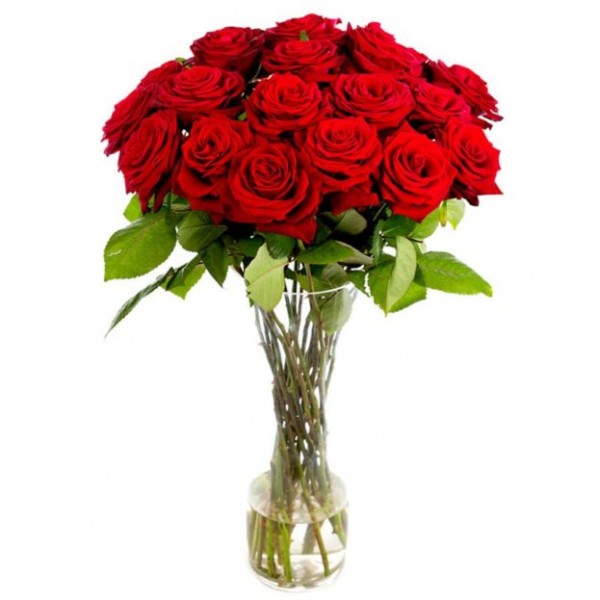 Red Roses for Home or Office